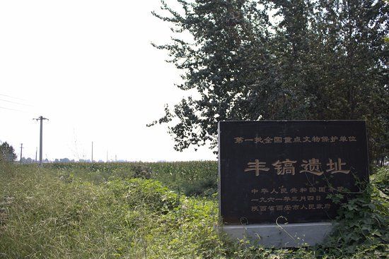 Western Zhou Chariot Burial Pit